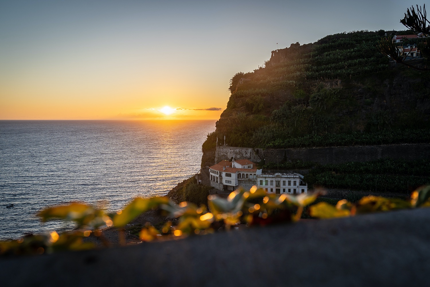 Vakantie_Madeira_sony_camera_69_StefanKrofft_2021.jpg