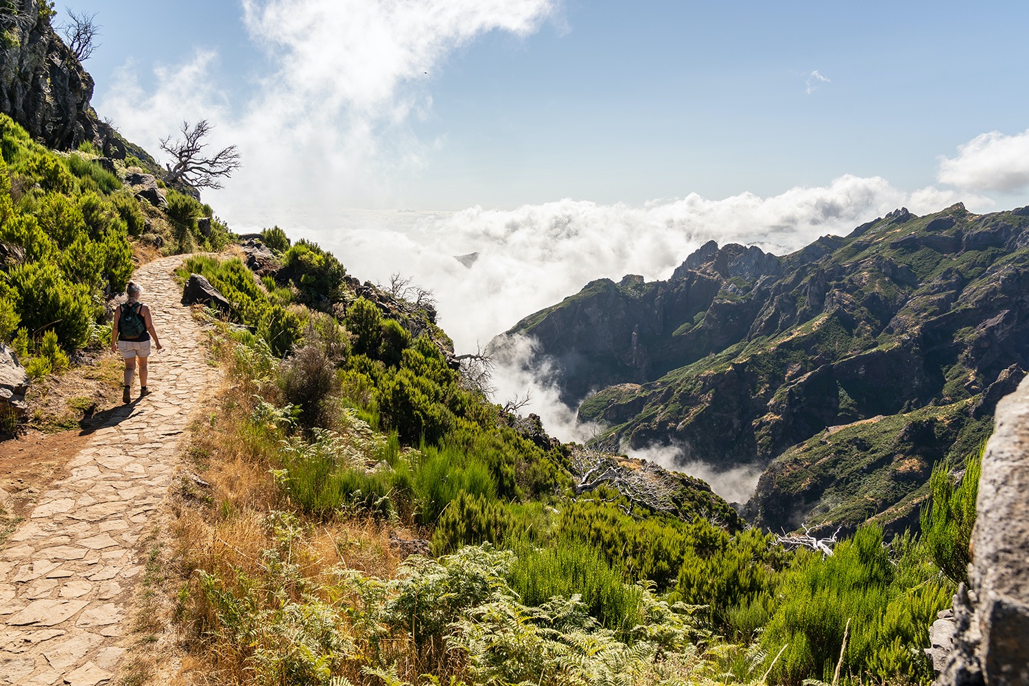 Vakantie_Madeira_sony_camera_144_StefanKrofft_2021.jpg